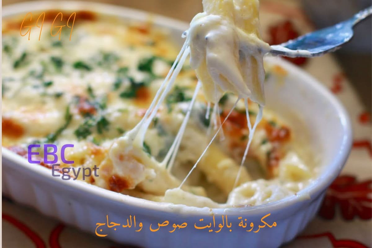 مكرونة بالوايت صوص والدجاج.. أكلة رمضانية يعشقها أفراد الأسرة