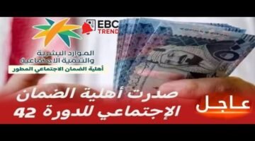 صدرت الآن.. نتائج أهلية الضمان المطور يونيو 2025 ورابط الاستعلام المباشر عن الدفعة 42