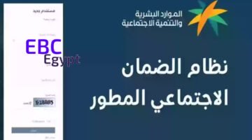 عاجل.. بدء إيداع راتب الضمان الاجتماعي المطور دفعة شهر مايو 2025 استعلم الآن!