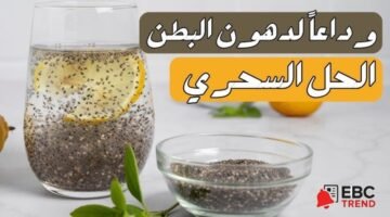 فوائد بذور الشيا للتنحيف البطن.. سر الرشاقة في ملعقة واحدة يوميًا!