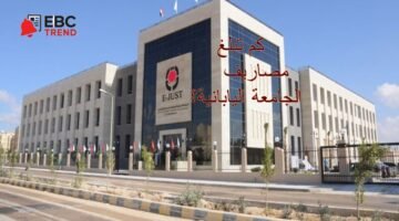 E-JUST كم تبلغ مصروفات الجامعة اليابانية؟ هنا تجد القائمة الكاملة ورسوم التقديم!